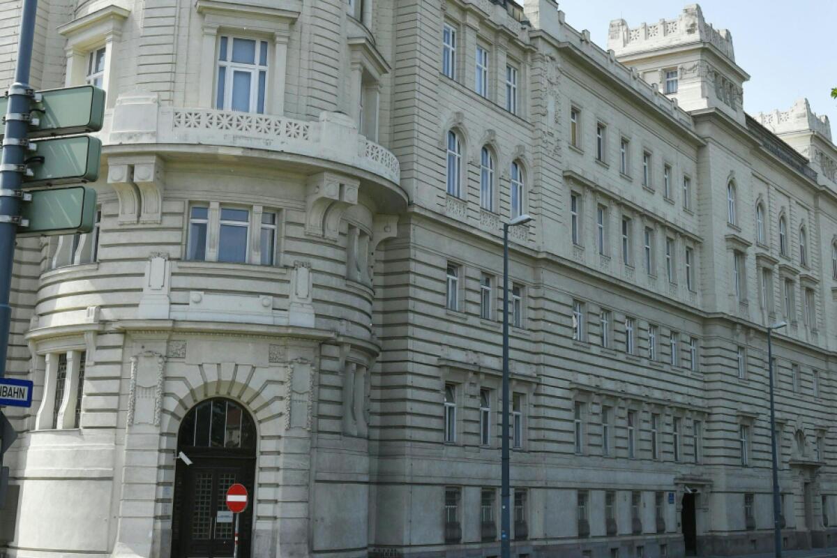 Mutmaßlich massive Polizeigewalt in Wien vor Gericht