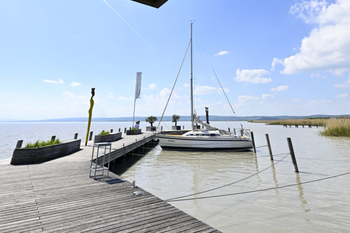 Neusiedler See trotzt der Hitzewelle