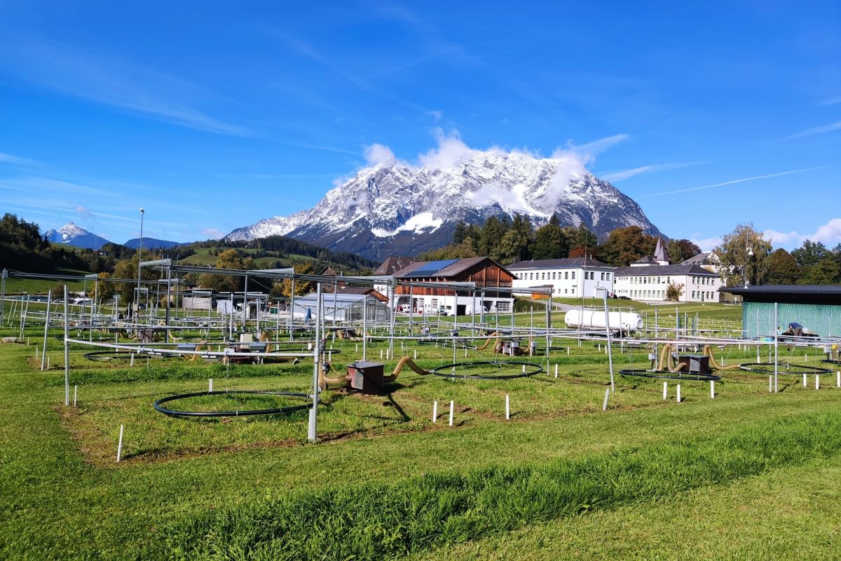 Studie weist auf unterschätze Folgen künftiger Dürren hin