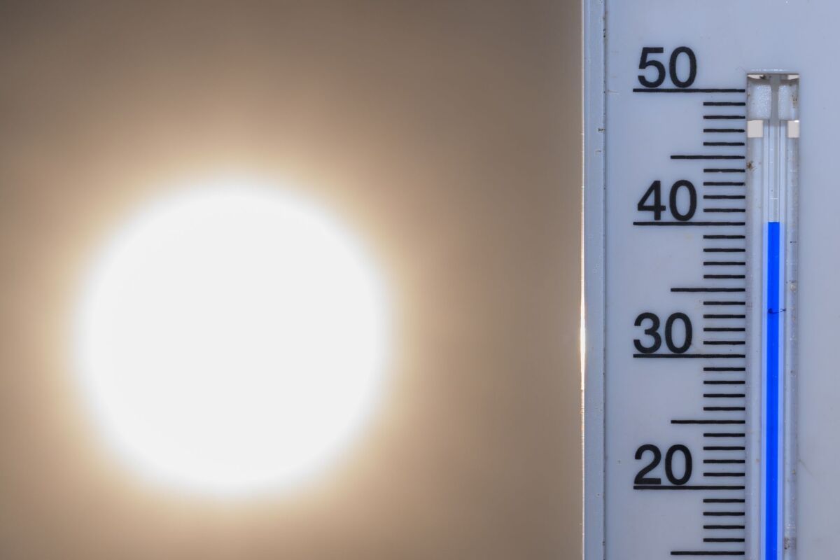Erneut Temperaturrekord in Deutschland: 41,7 Grad gemessen
