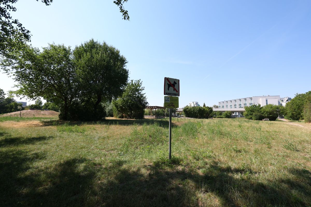 Identität von Getötetem in Wiener Park noch unklar