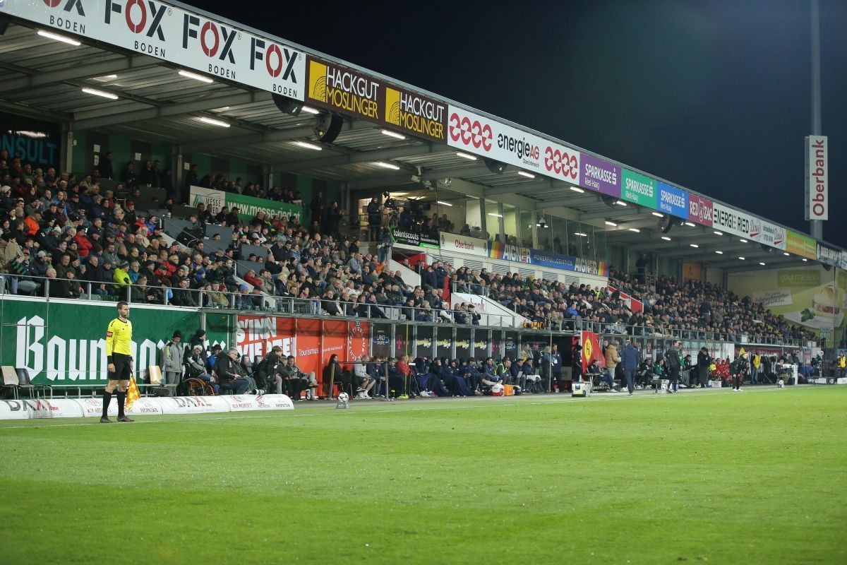Kroatischer Coach Despotovic Senft-Nachfolger in Ried
