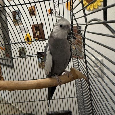 Lola sucht gemeinsam mit Charly ein neues Zuhause