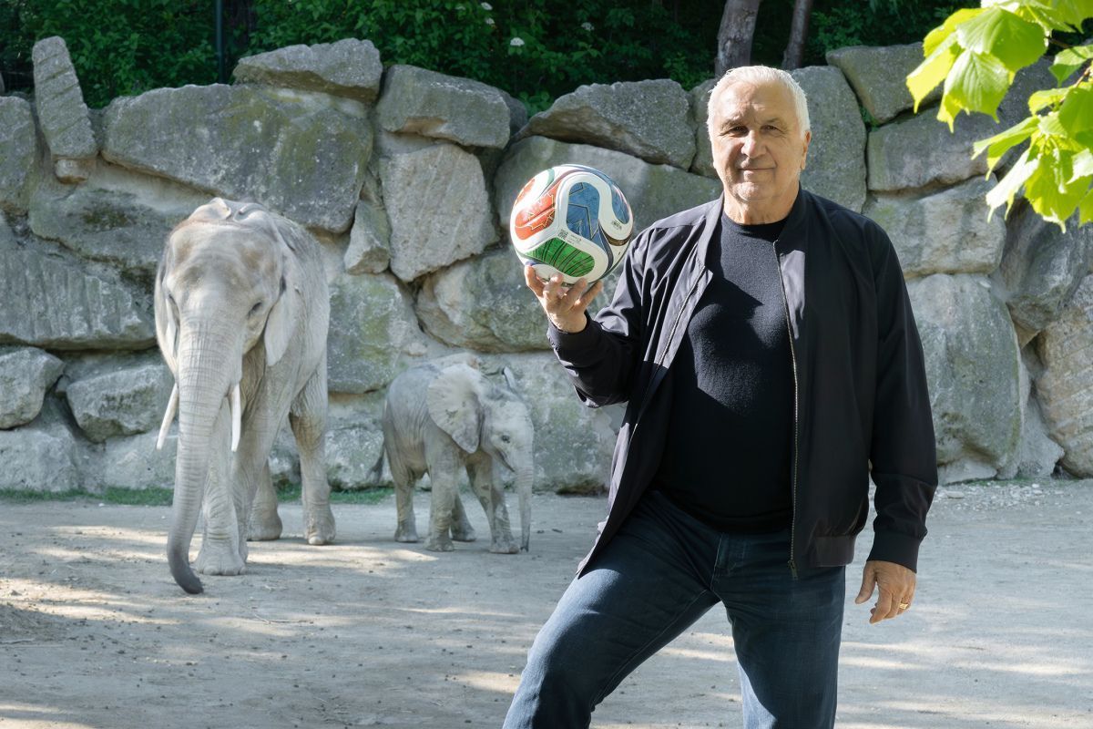 Hans Krankl spielte mit den Elefanten im Tiergarten Fußball