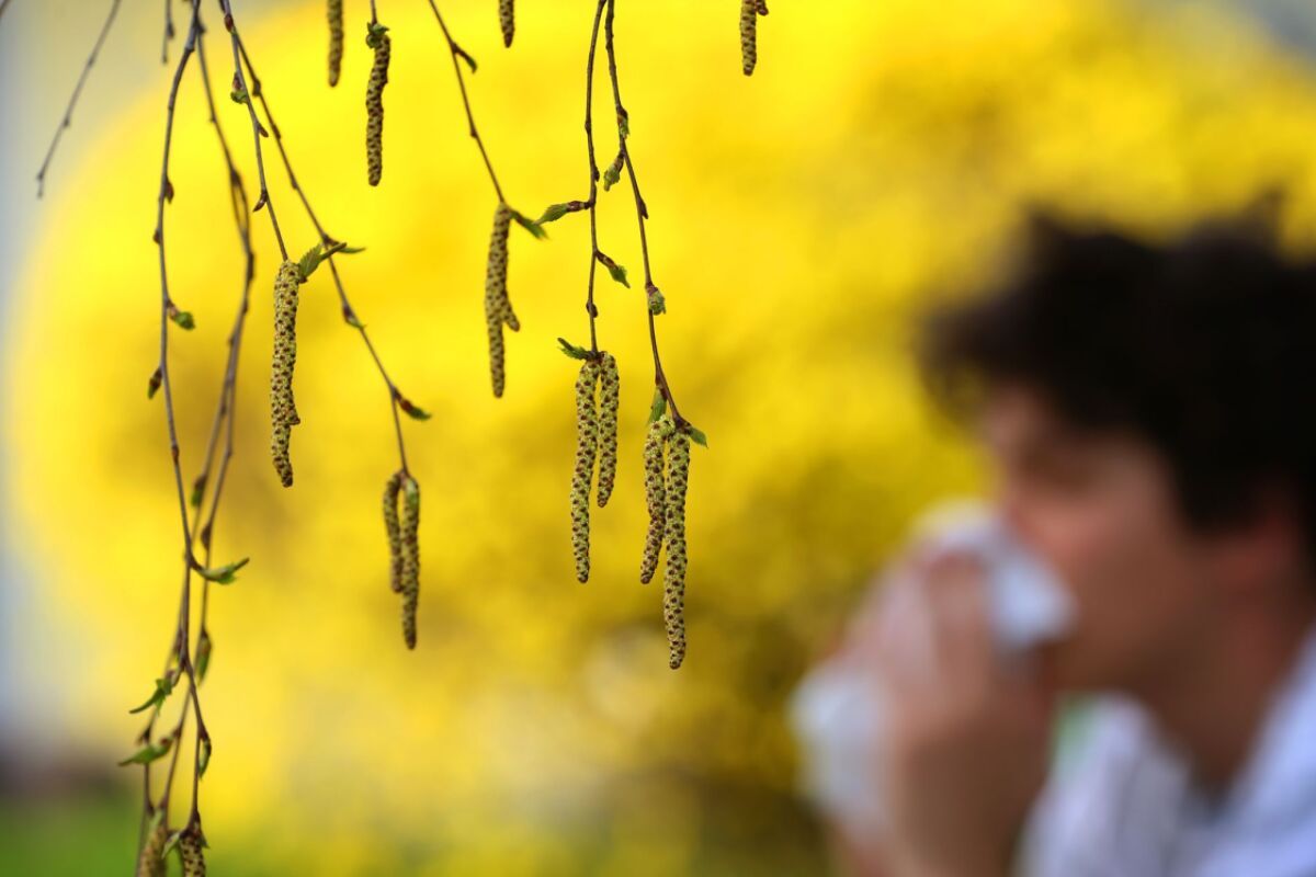 17 Prozent leiden in Österreich unter einer Allergie