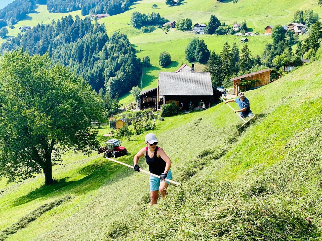 Artenreiche Naturschätze im Walgau
