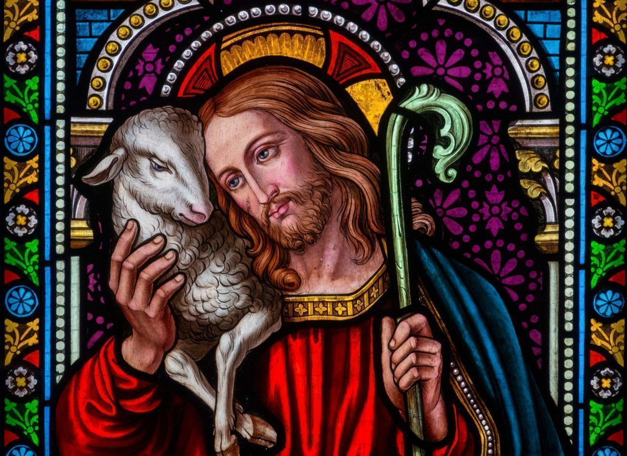 Evangeliumkommentar: Mehr als nur Mitleid