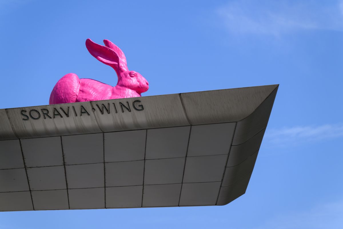 Ein Riesenhase hat es sich auf der Albertina bequemgemacht