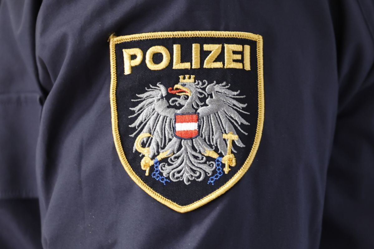 Hochwertige Geige in Zug in Wien gestohlen