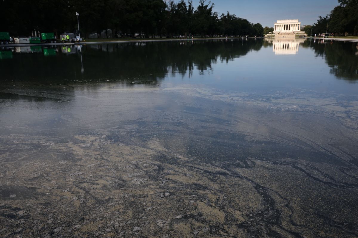 "Reflecting Pool": Ex-Olympioniken drohen zehn Jahre Haft