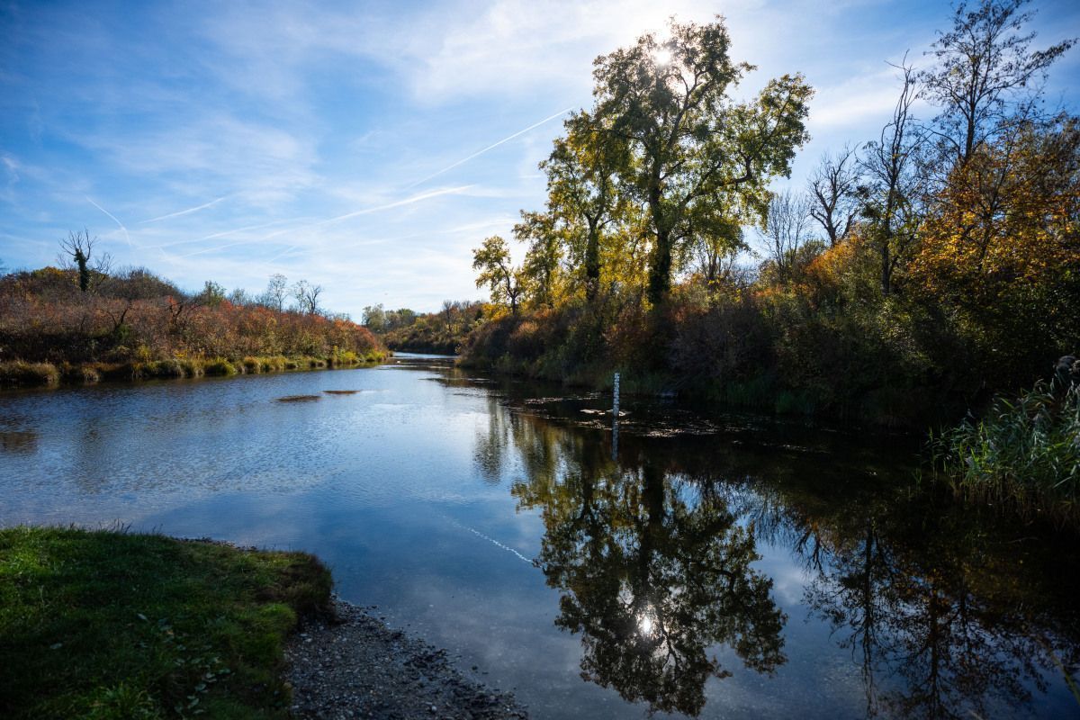 "Renaturierungs-Lücke" Untere Lobau