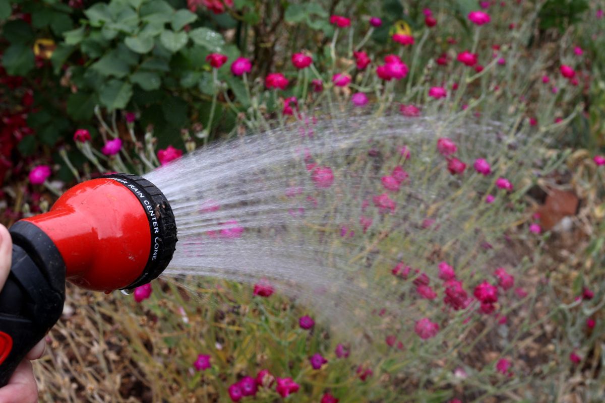 Global 2000 startet Testaktion zum Aufspüren von PFAS
