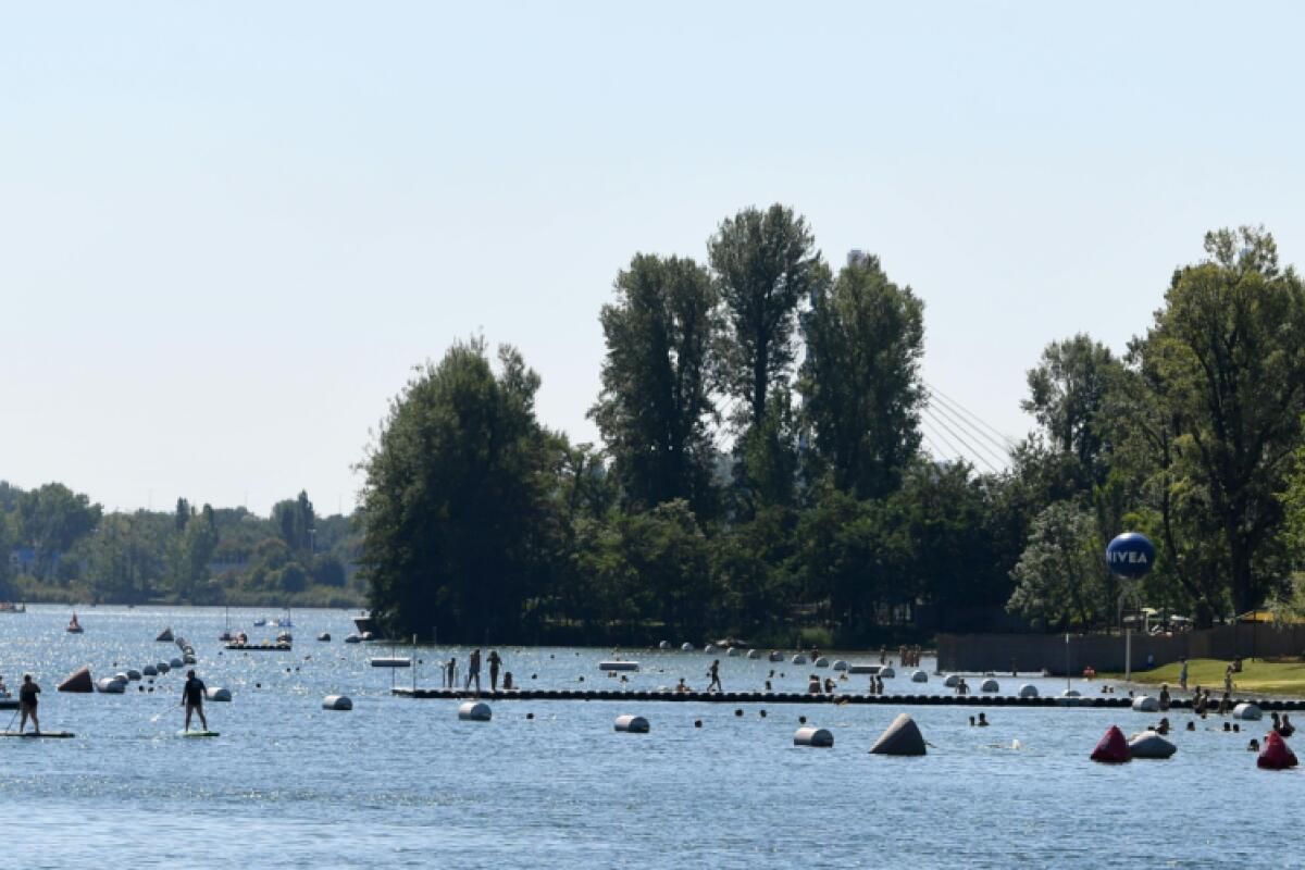 Mann ging beim Schwimmen in Wien unter und wurde reanimiert