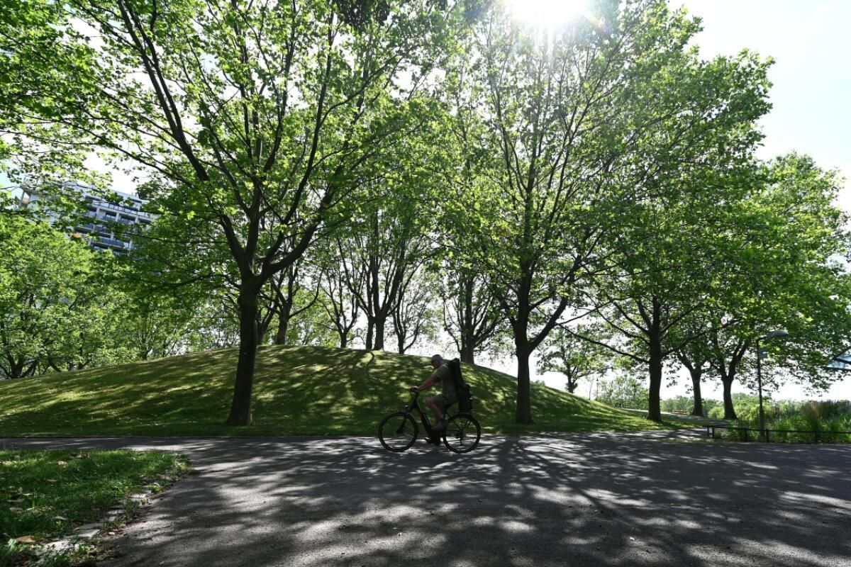 Burschen nach Angriff auf Ehepaar in Wiener Park gefasst