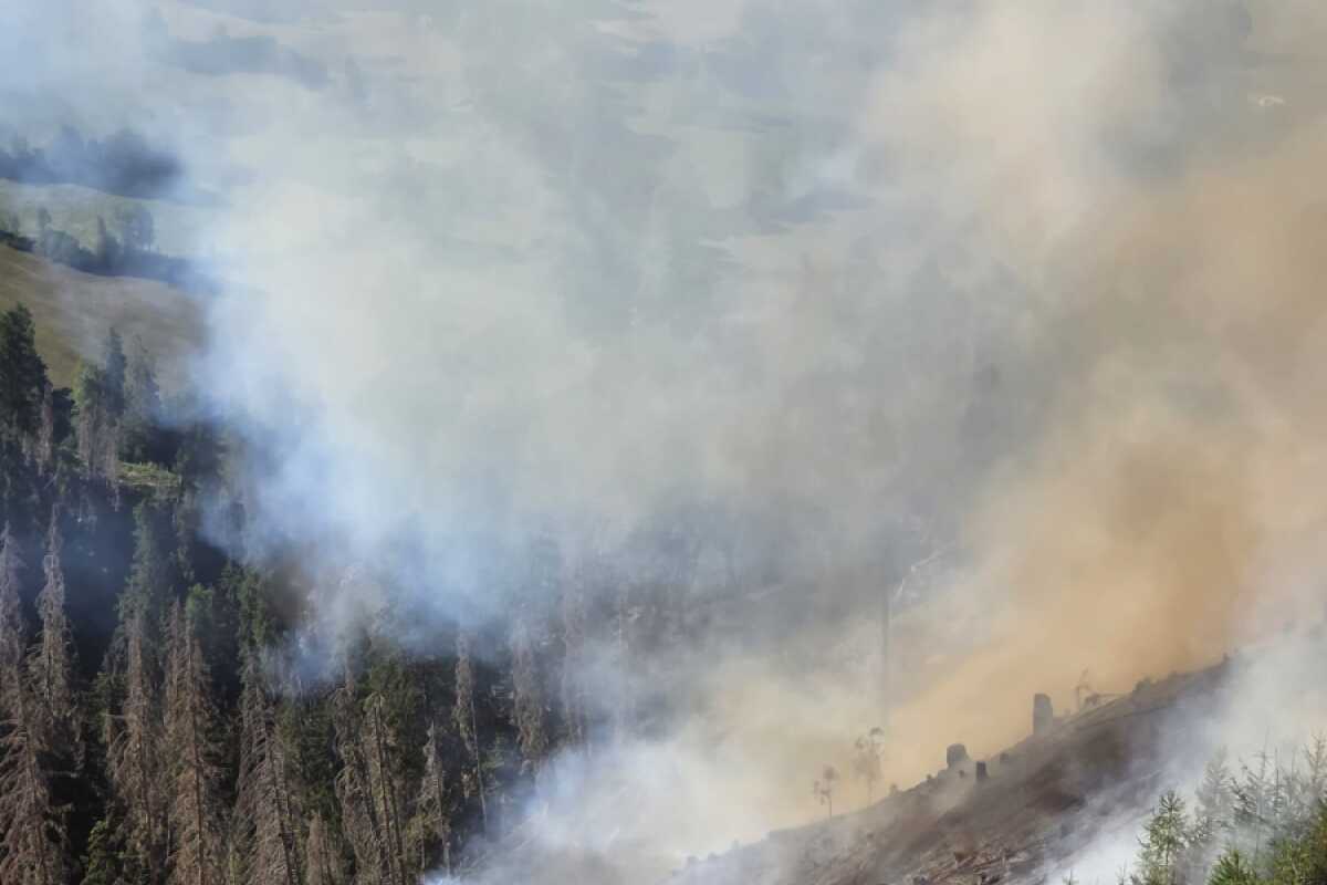 Waldbrand in Osttirol nach drei Tagen final gelöscht