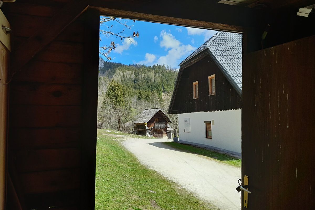 "Antifaschistisches Bildungscamp" heuer nicht am Per?manhof