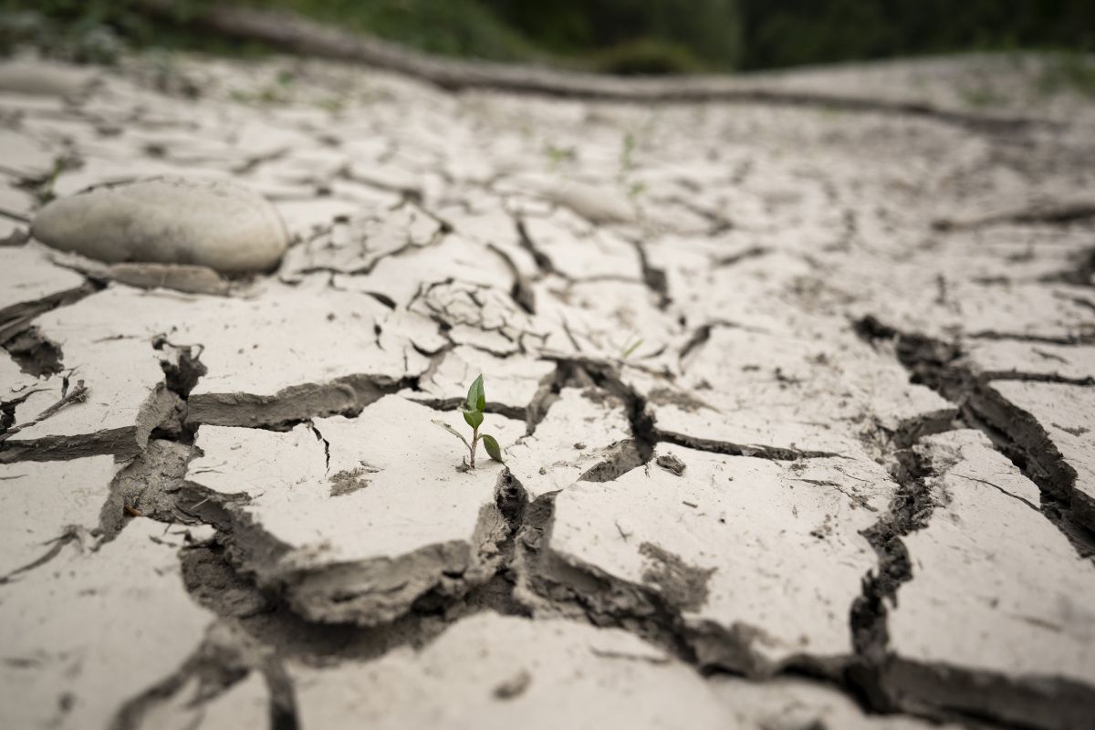 Österreich sieht sich schlecht auf Klimawandel vorbereitet