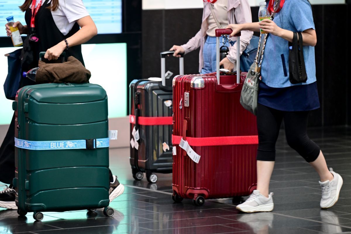 Flughafen Wien: Haifischknorpel aus Gepäck gefischt