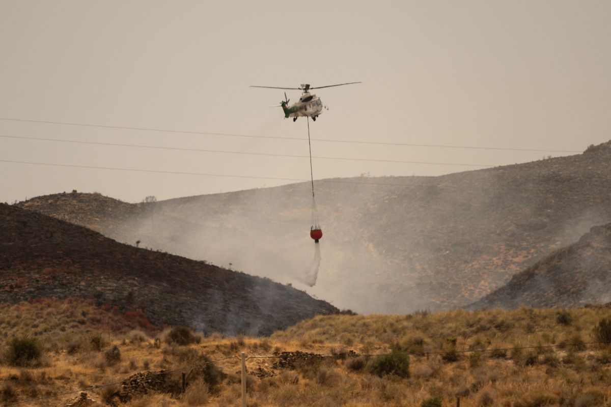 Waldbrand in Andalusien: Zwölf Ausländer verstorben
