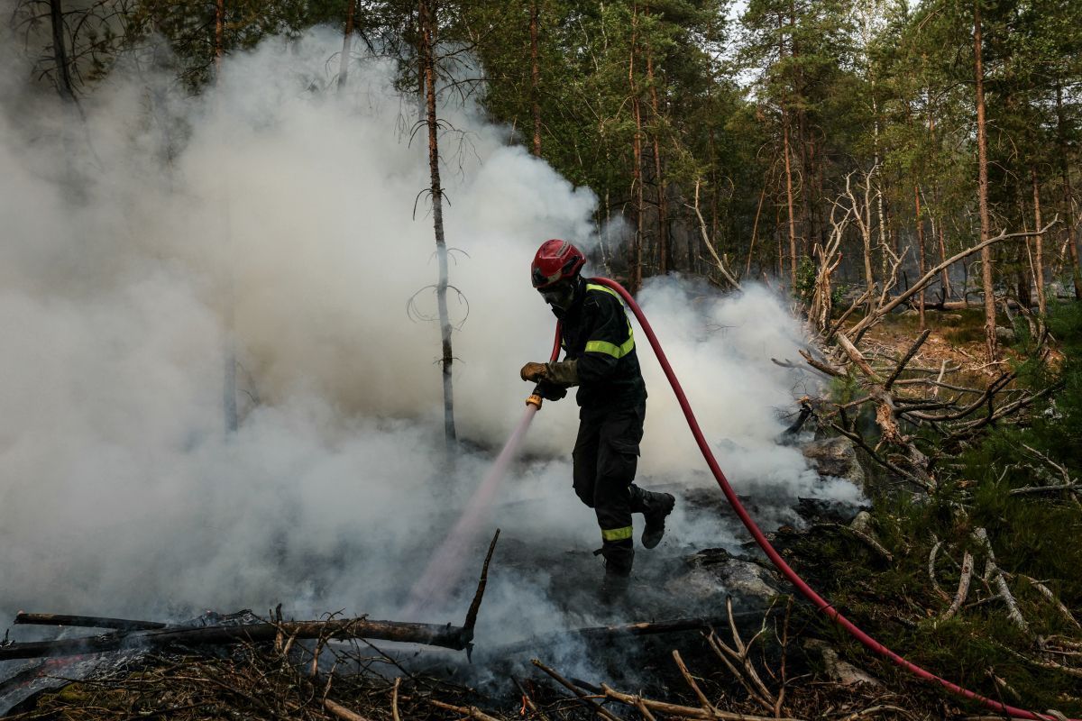 Waldbrand bei Paris eingedämmt - Verdächtige in Gewahrsam
