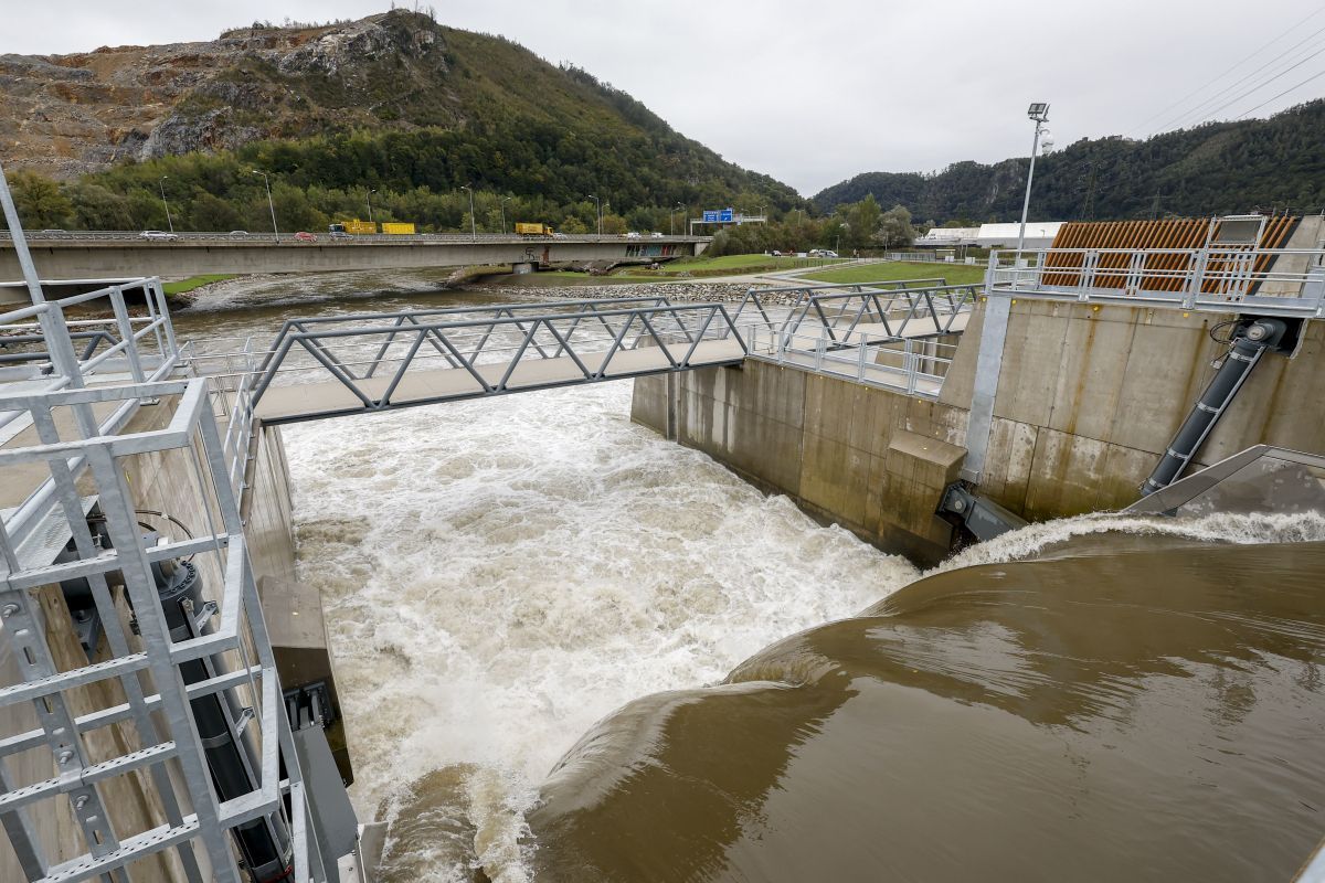 Wie Wasserkraftwerke ein Stück fischverträglicher werden