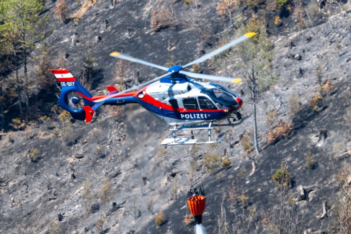 Größerer Waldbrand von knapp 80 Einsatzkräften verhindert