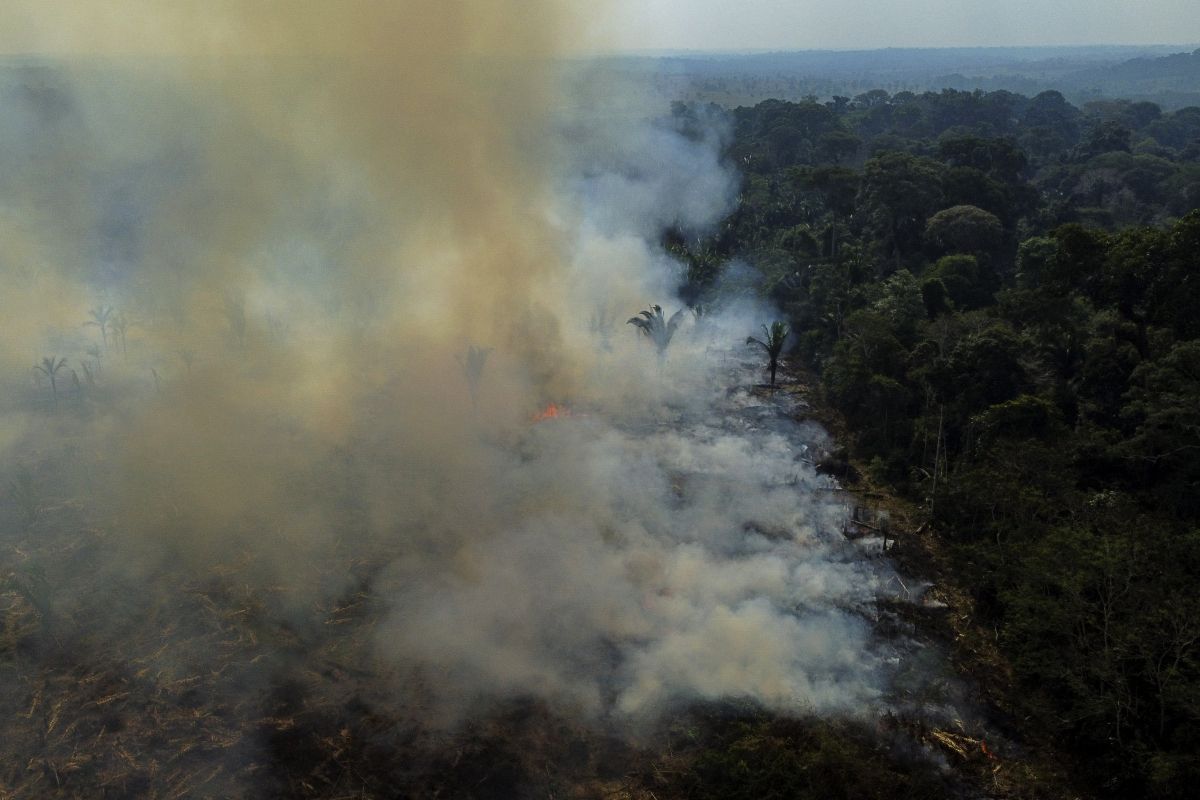 Weniger Waldbrände im Amazonas 2025