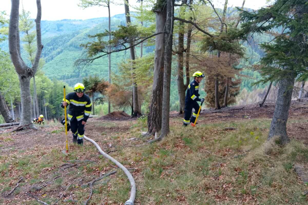 Nach Waldbrand bei Stift Rein - Forstarbeiter angezeigt
