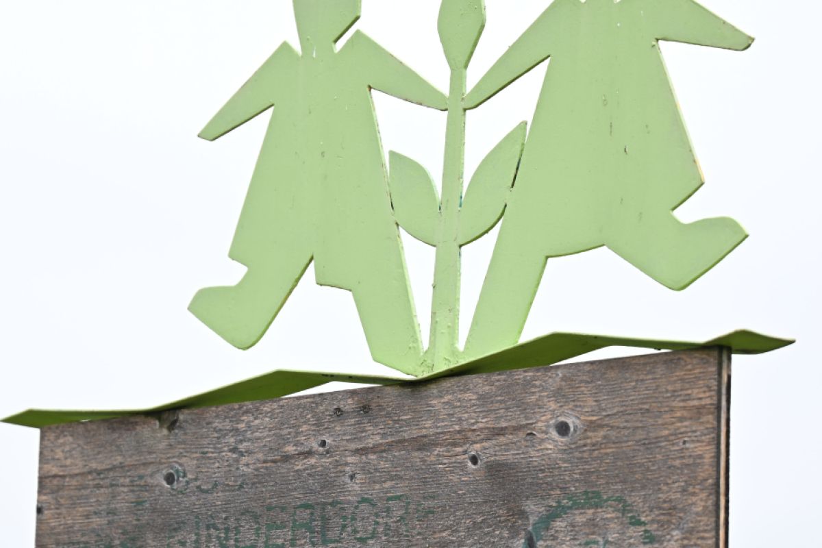 SOS Kinderdorf beginnt mit Umsetzung von Reformen