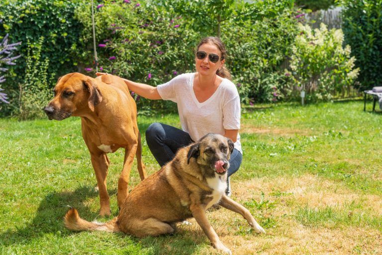 Ein Hund ist kein Kuscheltier