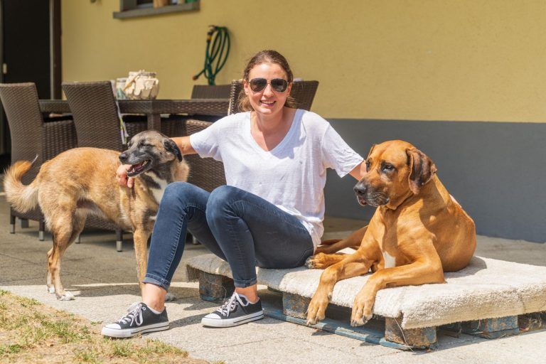 Ein Hund ist kein Kuscheltier