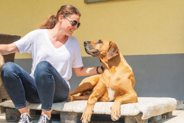 Ein Hund ist kein Kuscheltier