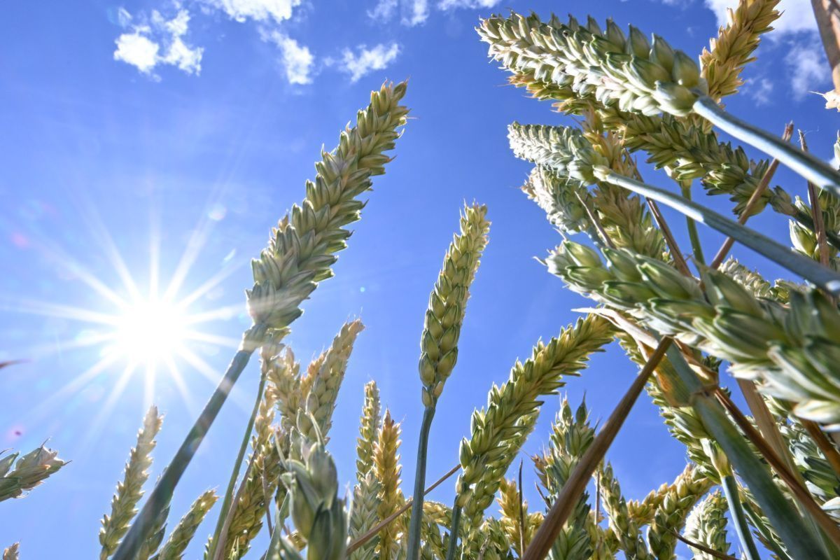 In Österreich bleibt das Wetter sommerlich