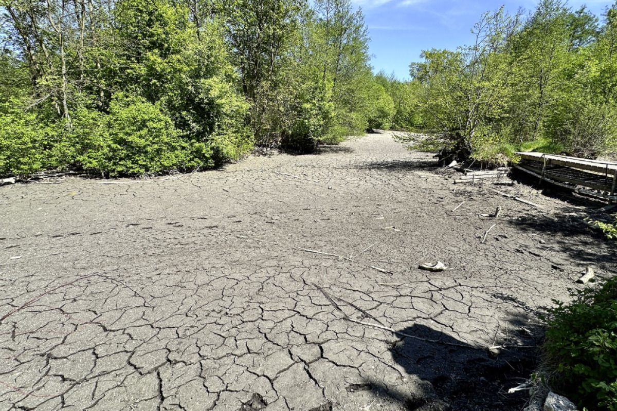 Trockenheit ist in Österreich ein großes Problem
