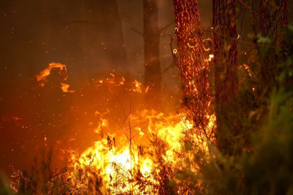 Waldbrände in Südeuropa wüten weiter