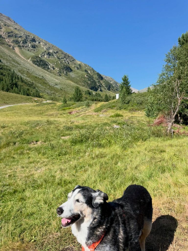 Mure im Ötztal: „Mir fiel das Handy fast aus der Hand“
