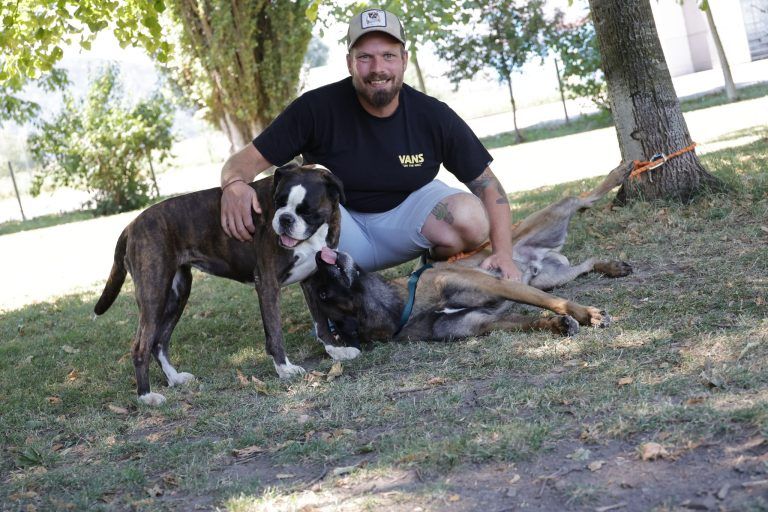 Was Vorarlbergs Hundehalter beim neuen Nachweis jetzt ausbremst