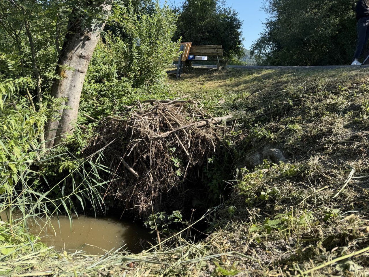 Dieser Koblacher hört nachts den Biber bauen