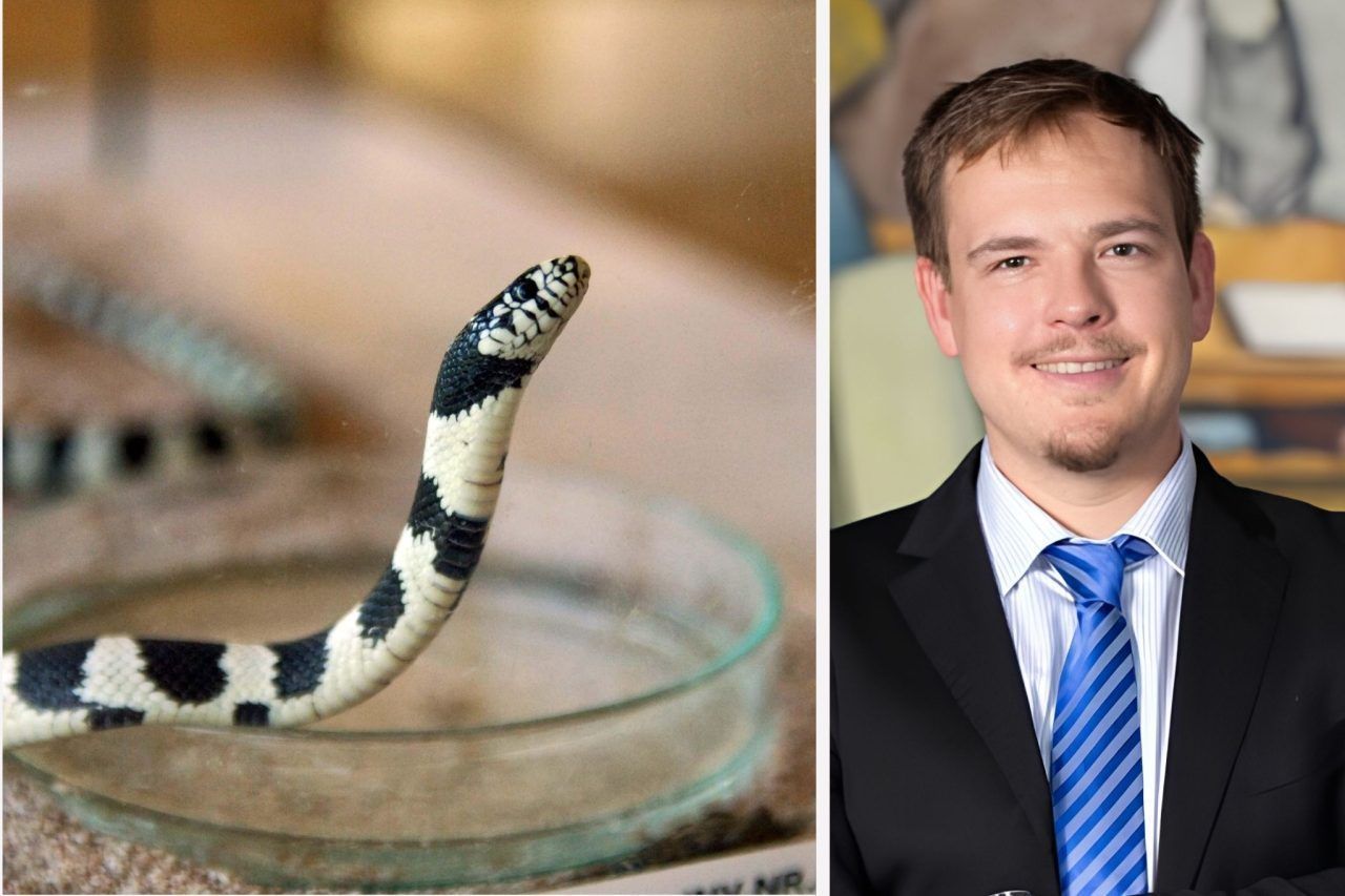 Wer ein "exotisches" Haustier möchte, kommt an ihm nicht vorbei