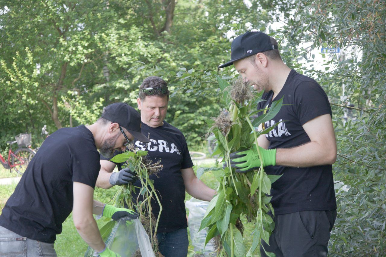 Vom Fußballplatz ins Schutzgebiet: Wie der SCR Altach sich für die Natur einsetzt