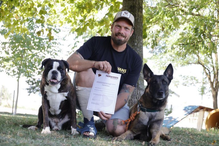 Was Vorarlbergs Hundehalter beim neuen Nachweis jetzt ausbremst