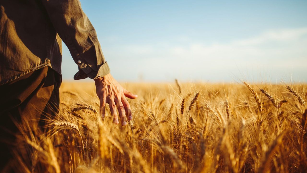 Evangeliumkommentar: Aufräumen wird vertagt