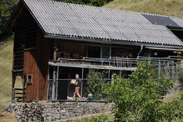 Dieses Eis aus dem Montafon kommt direkt vom Bergbauernhof