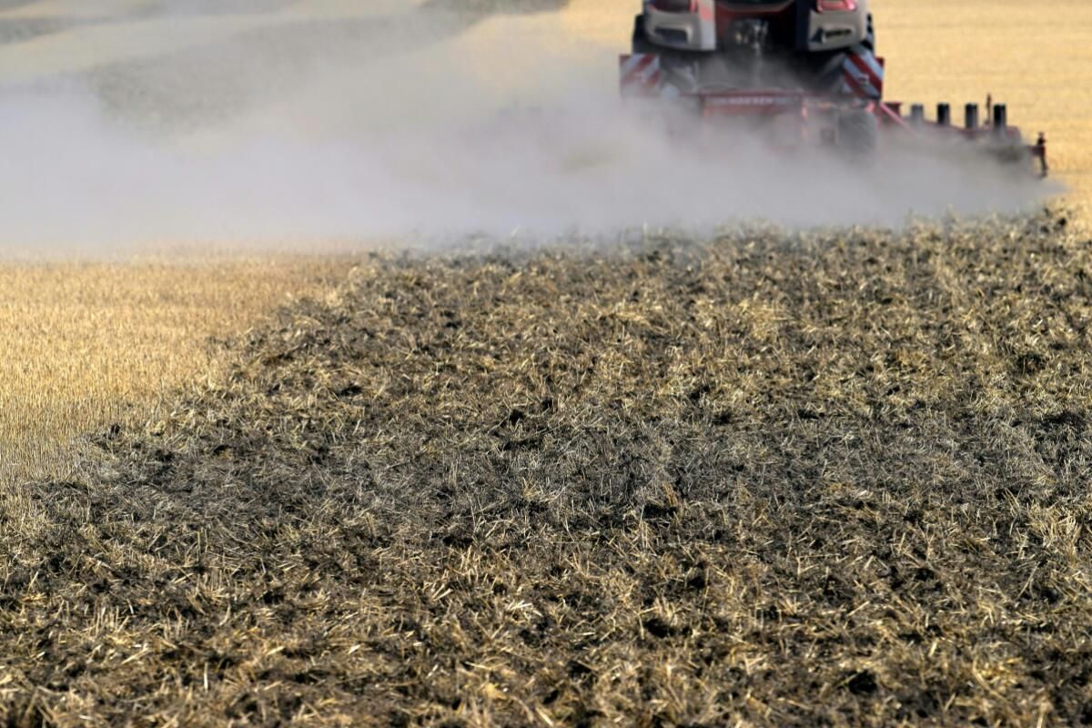 Dürre - Schäden für Bauern derzeit noch nicht abschätzbar