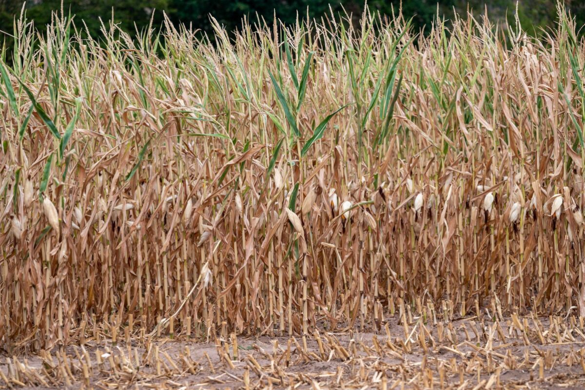 Parteienstreit zur Frage, wer die Bauernhilfen zahlt