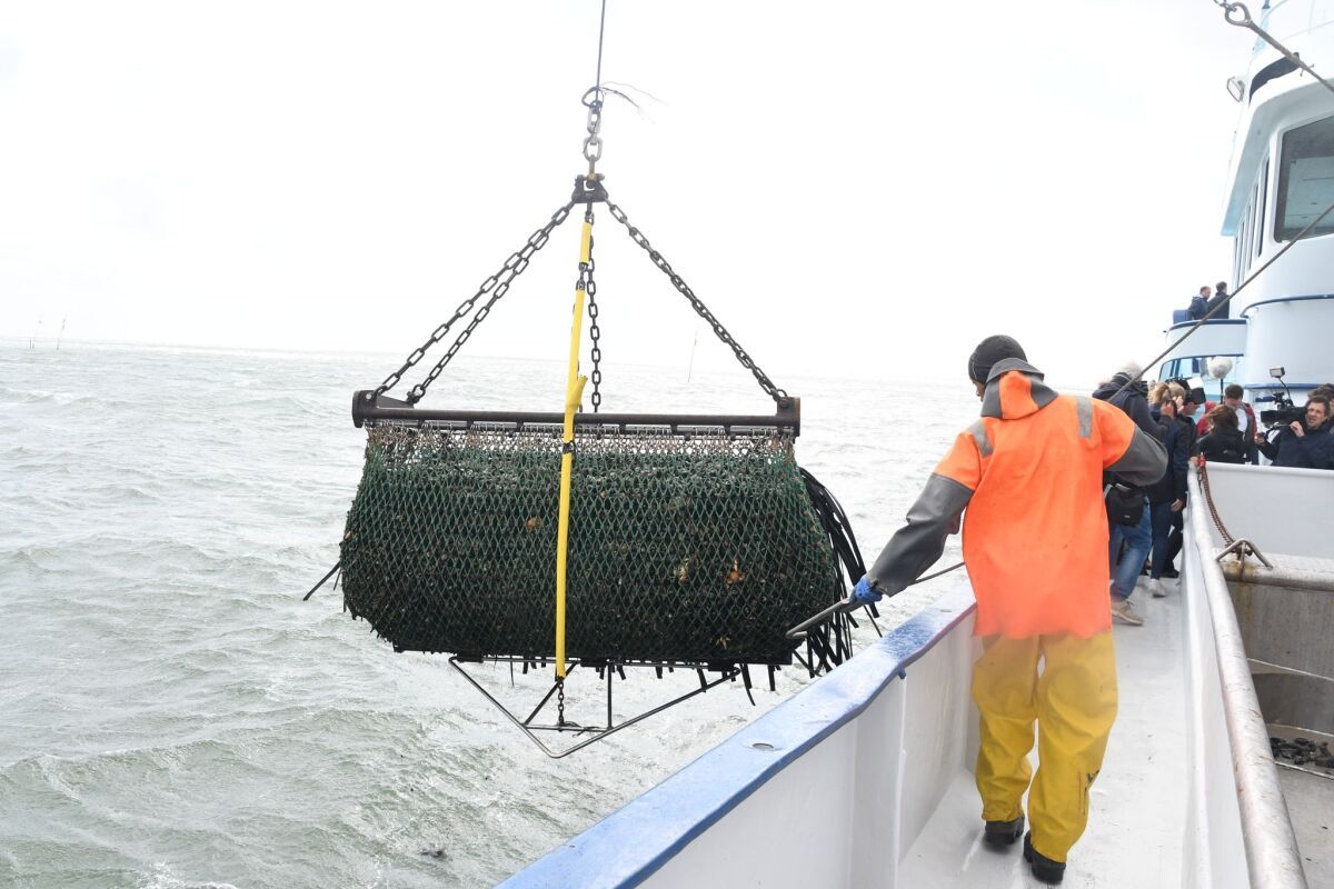 EU-Votum: Islands Wirtschaft ringt um Euro, Zinsen und Fisch