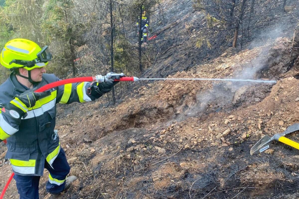 Feuerwehreinsätze wegen Waldbränden in der Steiermark