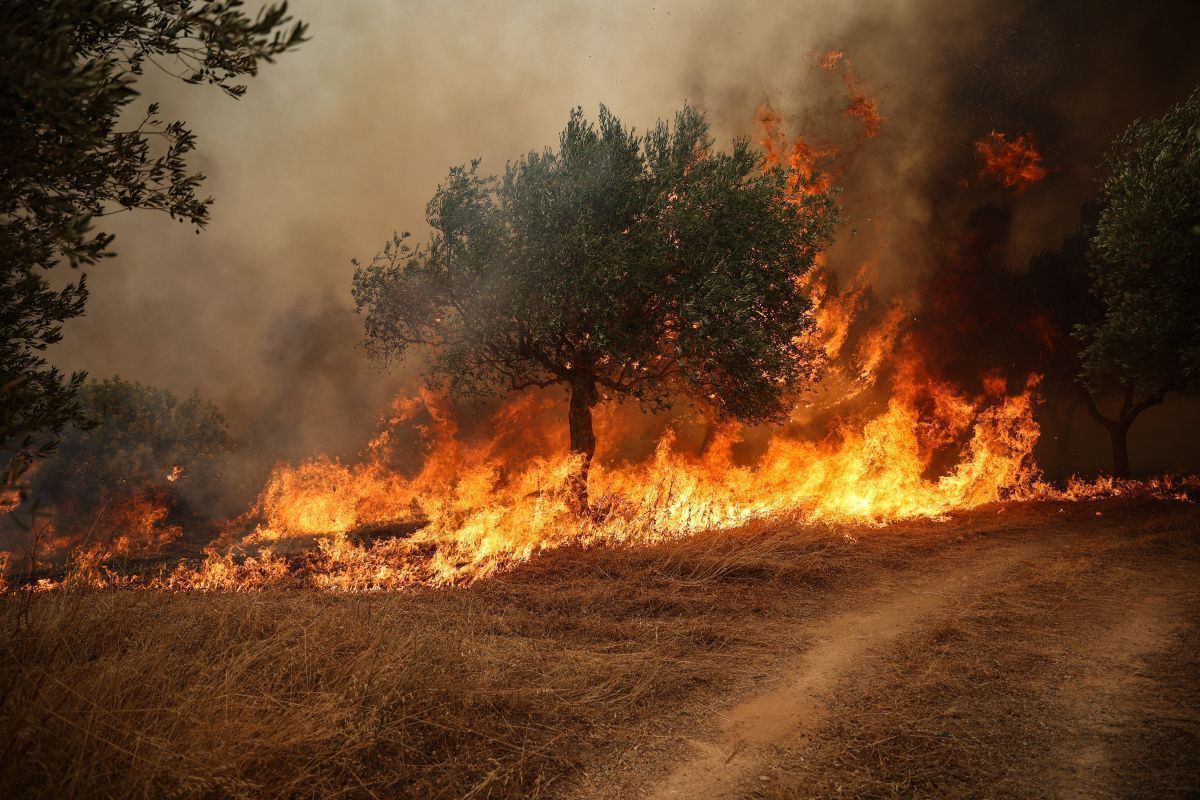 Waldbrände bei Athen wüten vierten Tag in Folge