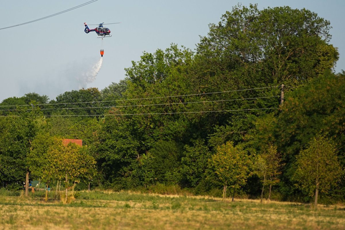 Nachlöscharbeiten in Wiener Lobau