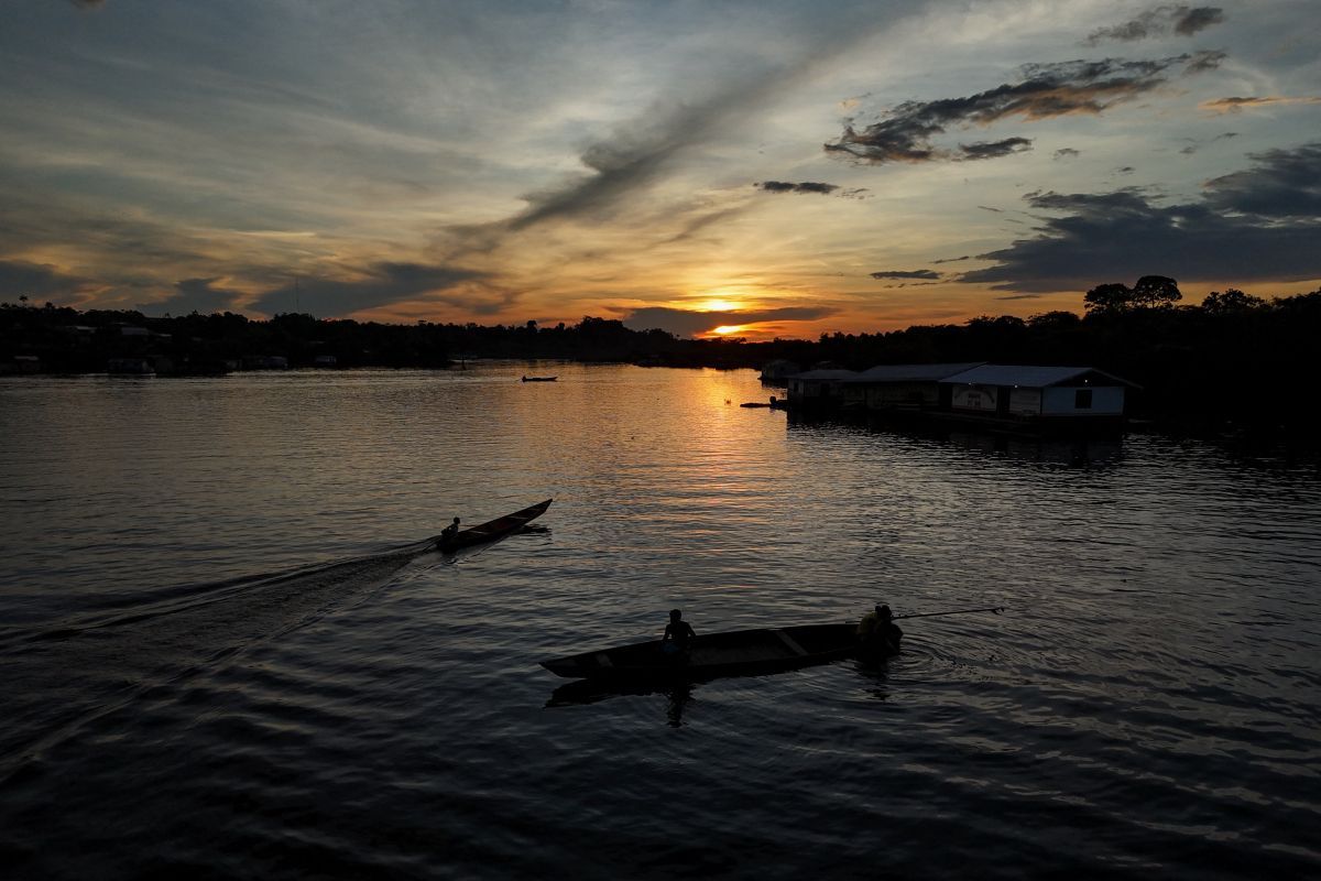 Abholzung am Amazonas deutlich zurückgegangen